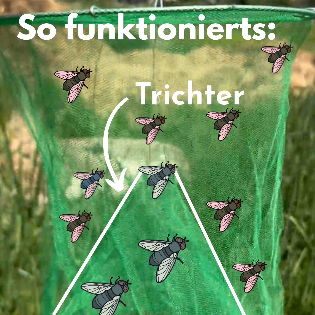HorseSafe FlyTrap – Ruhe im Stall, Fliegen & Bremsen Falle