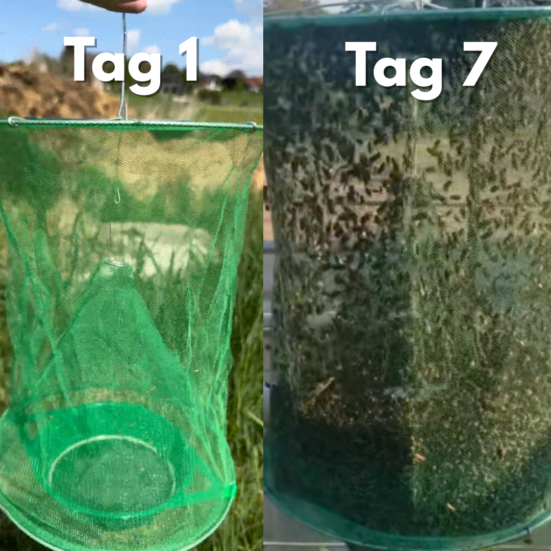 HorseSafe FlyTrap – Ruhe im Stall, Fliegen & Bremsen Falle