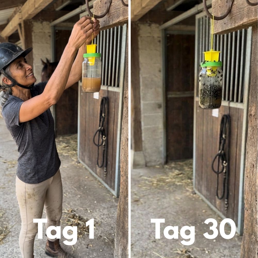 HorseSafe LiquidTrap – Schluss mit Fliegenstress auf deinem Hof
