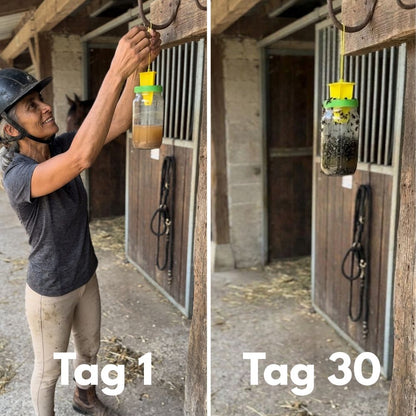 HorseSafe LiquidTrap – Schluss mit Fliegenstress auf deinem Hof
