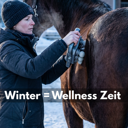 Magic 8 Pferdemassage Gun für Rücken-, Nacken- & Hüftmassagen