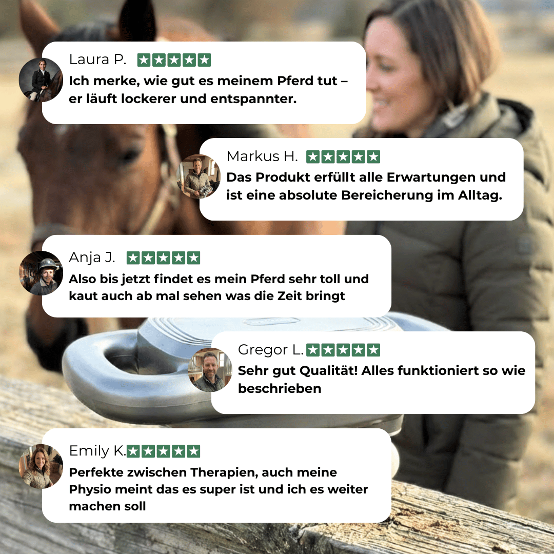 Magic 8 Pferdemassage Gun für Rücken-, Nacken- & Hüftmassagen